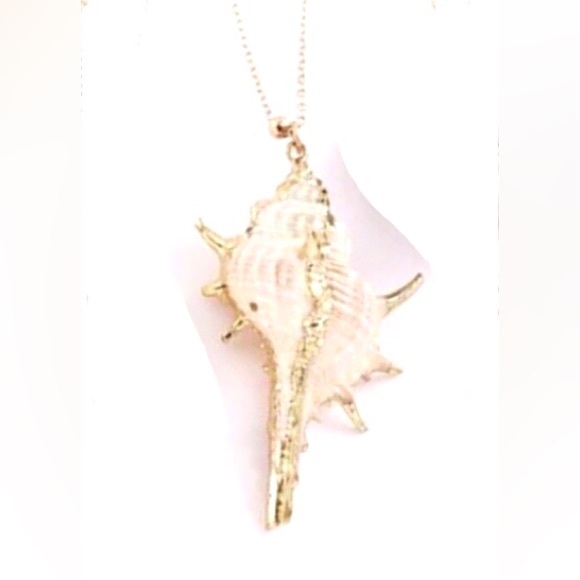 Spiny Murex~ Echinate Spiky Conch Shell Mermaid Beach Ocean Gold Dipped Necklace - Picture 15 of 16